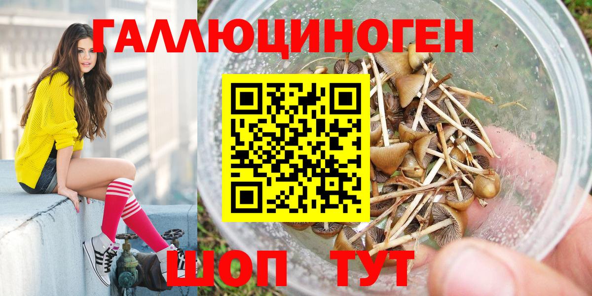 Галлюциногенные грибы Psilocybine cubensis Коркино